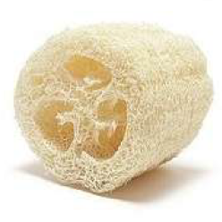 ESPONJA - VEGETAL CHICA