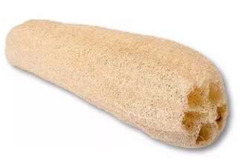 [BR2071] ESPONJA - VEGETAL GRANDE